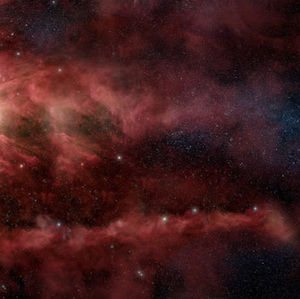 Meet your Posher, Jessie